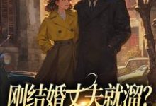 刚结婚丈夫就溜？姐真不吃人！精彩章节阅读(丁遥香陆舰)免费阅读大结局-黄桃文学