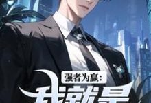 强者为赢:我就是权力中心精彩章节阅读(赵阳祁同伟)免费阅读大结局-黄桃文学