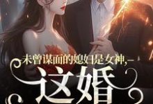 未曾谋面的媳妇是女神,这婚不离了(主角顾衍掣盛知夏)完结版免费阅读-黄桃文学