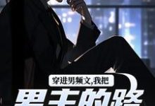 求助这本穿进男频文，我把男主的路给堵了！小说在哪里可以看完结版-黄桃文学