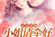 破镜重圆:小姐请牵好我的余生(主角宋一伟林雨晴)完结版免费阅读-黄桃文学