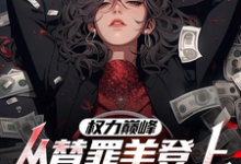 权力巅峰：从替罪羊登上青云之巅在线看，高峰小说大结局在哪免费看-黄桃文学