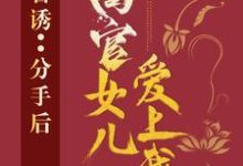 官诱:分手后,高官女儿爱上我小说最新章节在哪里可以免费看-黄桃文学