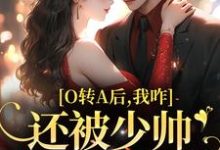 O转A后,我咋还被少帅强取豪夺了免费阅读,池影霍时晏大结局无弹窗-黄桃文学