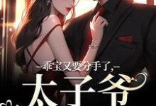 乖宝又要分手了，太子爷求贴贴免费阅读(江颜厉霆骁)小说免费读最新章节-黄桃文学