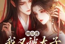 求助这本刚出逃，我又被太子绑回来了小说在哪里可以看完结版-黄桃文学