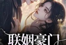 联姻豪门继承人后,我逃婚了!最新章节联姻豪门继承人后,我逃婚了!在线阅读-黄桃文学