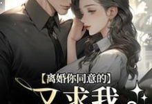 小说离婚你同意的，又求我复婚干什么主角沈青漓周晏辰免费阅读-黄桃文学