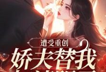 遭受重创,娇夫替我扫清阴霾大结局,萧溪羽沈墨小说无广告阅读-黄桃文学