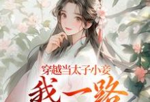 沈嫣萧逸宸小说的结局在哪可以看,穿越当太子小妾,我一路扶摇直上免费阅读完结版-黄桃文学