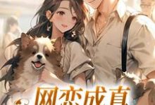 网恋成真，这小子乐癫了热门小说(苏念初司徒铮)在线阅读无弹窗-黄桃文学