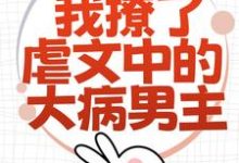 完结版为了活命，我撩了虐文中的大病男主在哪免费看，林瑧陆厌小说在线阅读-黄桃文学