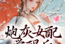 炮灰女配觉醒后：我要宫斗！（主角顾婉盈凤钰昭）完结版免费阅读-黄桃文学