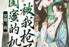 穿越:我闺蜜的机缘被我抢了完结版梅久免费阅读大结局-黄桃文学