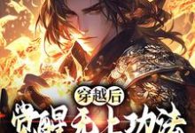穿越后,觉醒无上功法的我要复仇了(主角宋终)完结版免费阅读-黄桃文学
