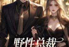 野性总裁穿上娇夫马甲热门小说(靳宪廷阮虞)在线阅读无弹窗-黄桃文学