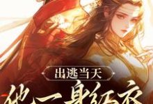完结版出逃当天，他一身红衣抢掳我在哪免费看，谢怀柔沈亦之小说在线阅读-黄桃文学