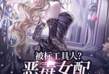 宋以宁许继琛在线阅读，被标工具人？恶毒女配甩男主求自由小说完结版章节-黄桃文学