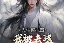 人生模拟器：我被老婆逼成世间极境无弹窗白棋陈北玄最新章节列表-黄桃文学