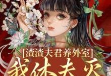 叶宛卿萧时衍小说免费阅读最新章节列表,渣渣夫君养外室,我休夫灭妾另高嫁小说在线看-黄桃文学