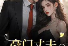 豪门丈夫为何一反常态，频频回家？免费阅读(宁染陆时钧)小说免费读最新章节-黄桃文学