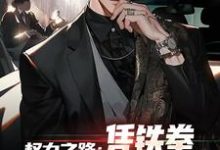 精彩章节阅读权力之路：凭铁拳，我令黑势力退避(步青云王东林)免费小说在线看-黄桃文学