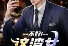 不好！这渣女要虐死了完结版顾迟云云晚晚免费阅读大结局-黄桃文学