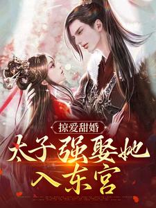 完结版掠爱甜婚：太子强娶她入东宫在哪免费看，贺玥宁如颂小说在线阅读