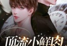 完结版顶流小鲜肉每天只想官宣在哪免费看，梦泽小说在线阅读-黄桃文学