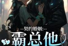 小说契约婚姻:霸总他超会宠主角苏锐秦众免费阅读-黄桃文学