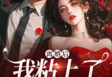 离婚后，我粘上了那位大佬精彩章节在线免费阅读（舒愿陆骁）-黄桃文学
