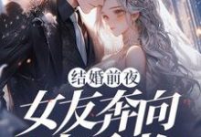 结婚前夜,女友奔向白月光免费阅读,秦凯大结局无弹窗-黄桃文学