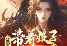 流氓悍匪：带着嫂子黑吃黑热门小说(齐海)在线阅读无弹窗-黄桃文学