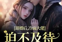 小说退婚后，冷面大佬迫不及待要娶我（黎九霍骁）最新章节在哪看-黄桃文学