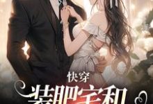 快穿：装肥宅和男主网恋后热门小说(泠宝桑泠)在线阅读无弹窗-黄桃文学