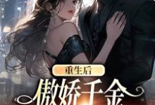 重生后，傲娇千金每天都在追夫大结局，沈念安霍瑾川小说无广告阅读-黄桃文学