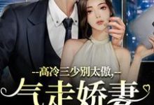 高冷三少别太傲,气走娇妻你完了!无弹窗江晚宁庄凌洲最新章节列表-黄桃文学