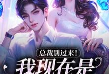 总裁别过来！我现在是事业上升期完结版陆绾绾沈俞瑾免费阅读大结局-黄桃文学
