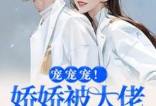 宠宠宠！娇娇被大佬拿命宠热门小说(叶初夏陆执)在线阅读无弹窗-黄桃文学