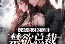 精彩章节阅读小娇妻又撩又甜,禁欲总裁宠上瘾(江熹季向聿)免费小说在线看-黄桃文学