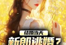 求助这本结婚当天,新郎逃婚?我当场改嫁!小说在哪里可以看完结版-黄桃文学