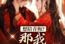 想陪青梅？那我直接改嫁（苏亦闻叶子清）最新章节免费阅读-黄桃文学