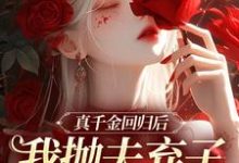 苏黎陆敬煊最新章节列表真千金回归后,我抛夫弃子独自美丽免费阅读-黄桃文学