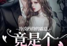 冷漠矜持的霸总,竟是个纯爱战士精彩章节在线免费阅读(宋诗予段斯昀)-黄桃文学