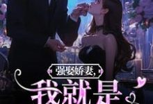 强娶娇妻，我就是他的真爱！（傅斯御虞知窈）最新章节免费阅读-黄桃文学