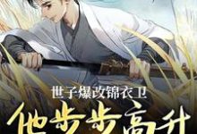 世子爆改锦衣卫，他步步高升成大佬免费阅读，林凡大结局无弹窗-黄桃文学