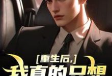 小说重生后，我真的只想做好事主角叶白免费阅读-黄桃文学