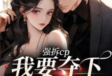 强拆cp，我要夺下这总裁热门小说(商扶砚符诱安)在线阅读无弹窗-黄桃文学