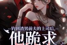 钓到渣男前夫的上司后，他跪求放过最新章节钓到渣男前夫的上司后，他跪求放过在线阅读-黄桃文学