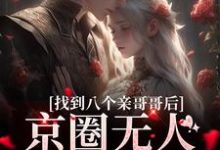 小说找到八个亲哥哥后，京圈无人敢惹她主角叶小汐叶以辰免费阅读-黄桃文学